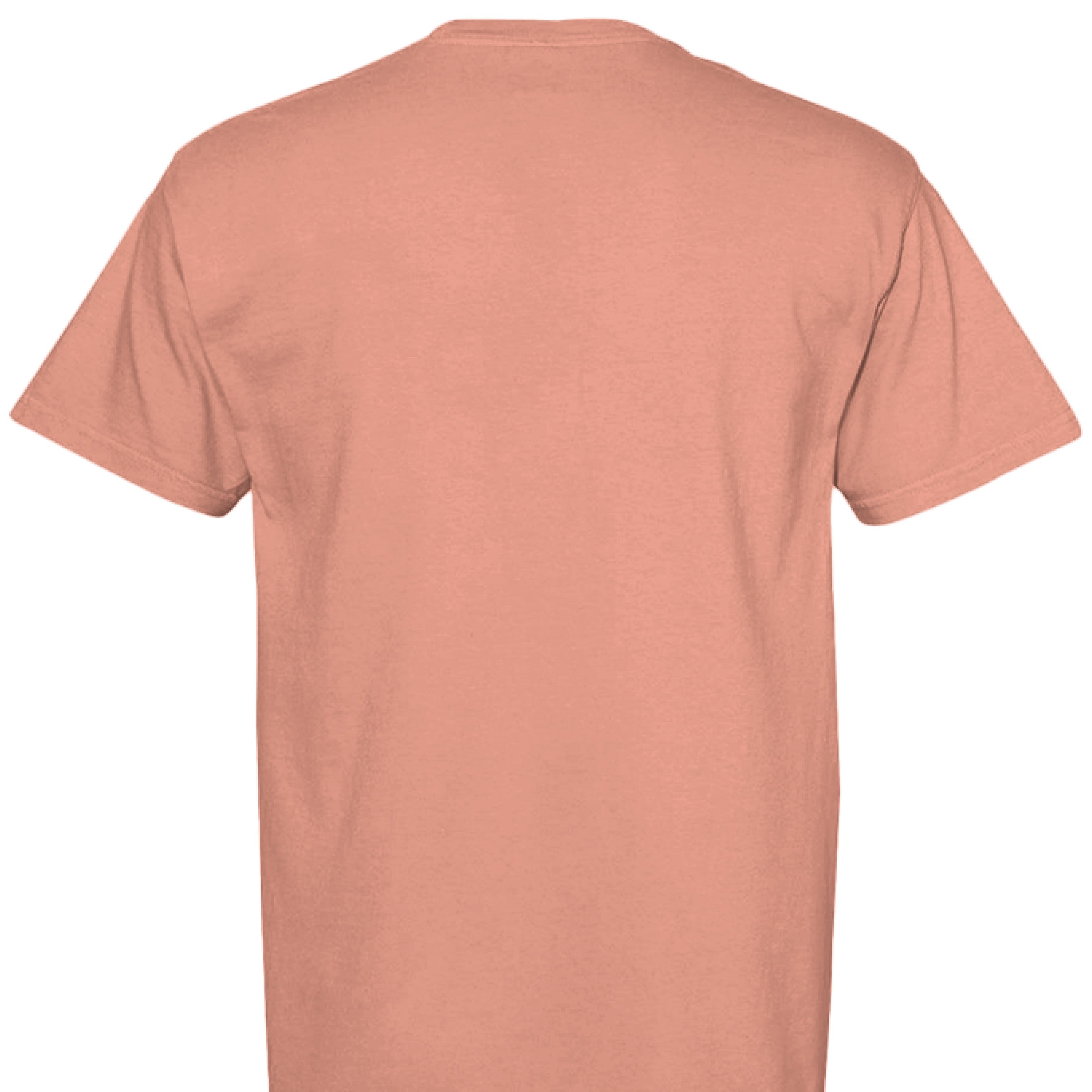 TERRACOTA - BACK